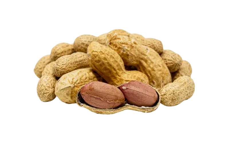 CACAHUATE