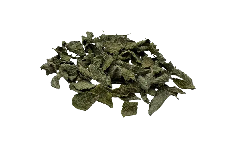 OREGANO